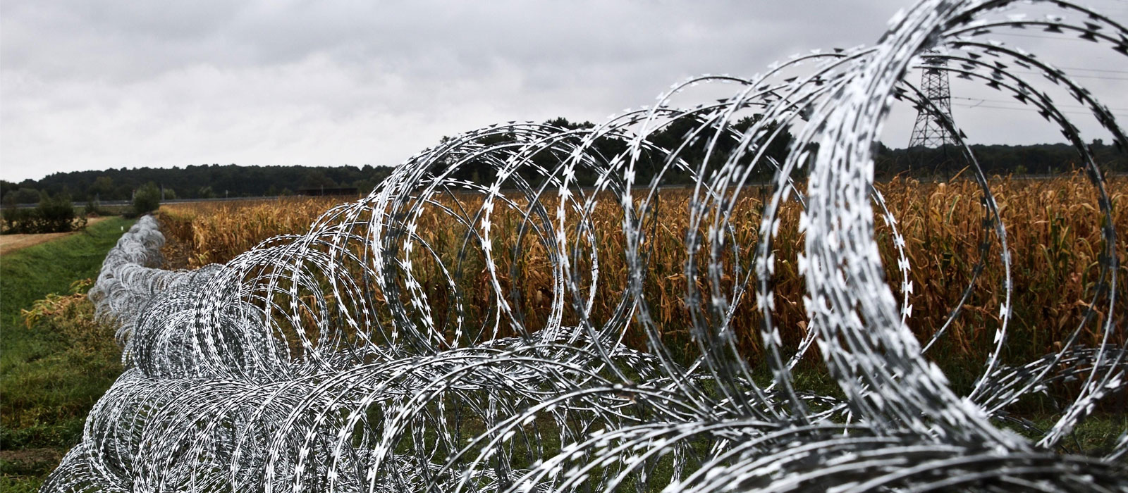Concertina Wire Manufacturers in Delhi